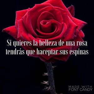 Meet your Posher, Claudette